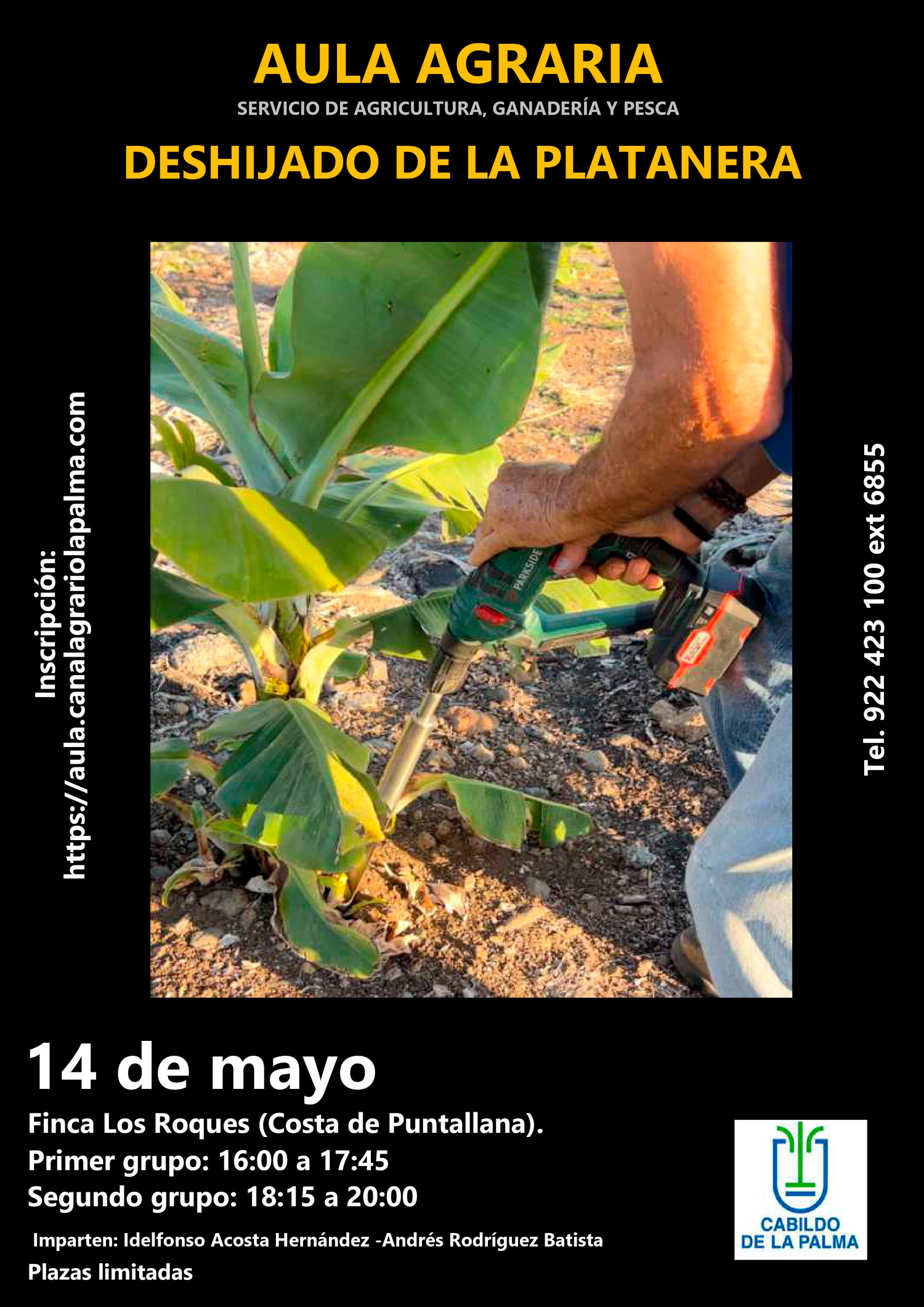 Curso Deshijado de la platanera, 14 de mayo