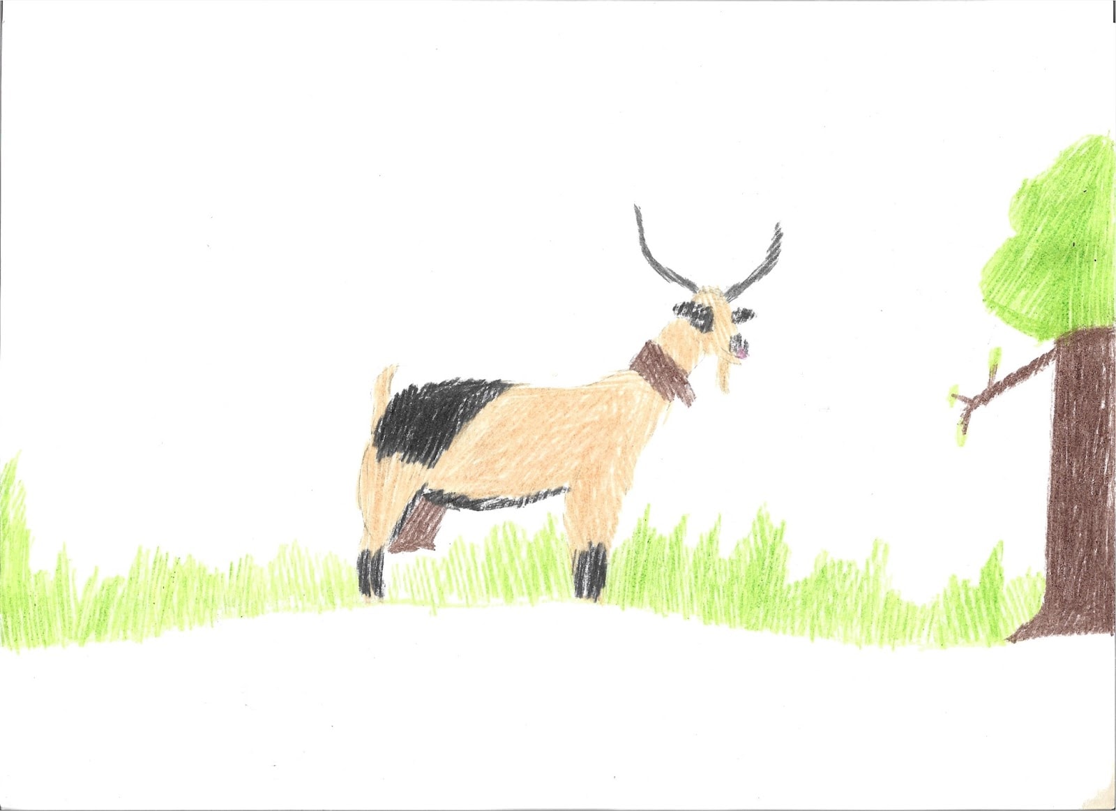 Primer Premio: Dibujo de Matías Sánchez Robledo de CEIP de Miranda