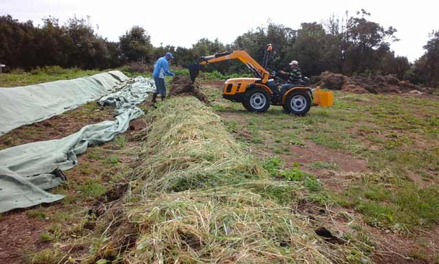 Granja-Experimental-de-Garafia-Elaboracion-de-Compost-10