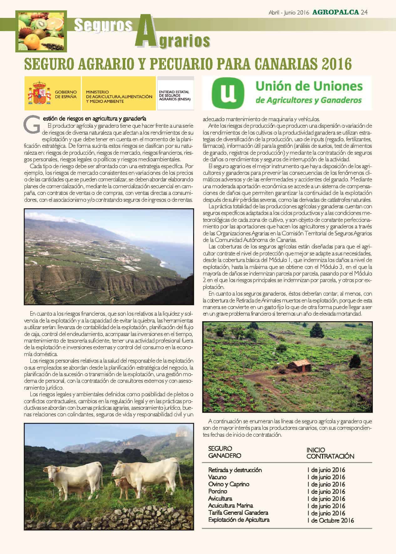 REVISTA AGROPALCA 33_Página_24